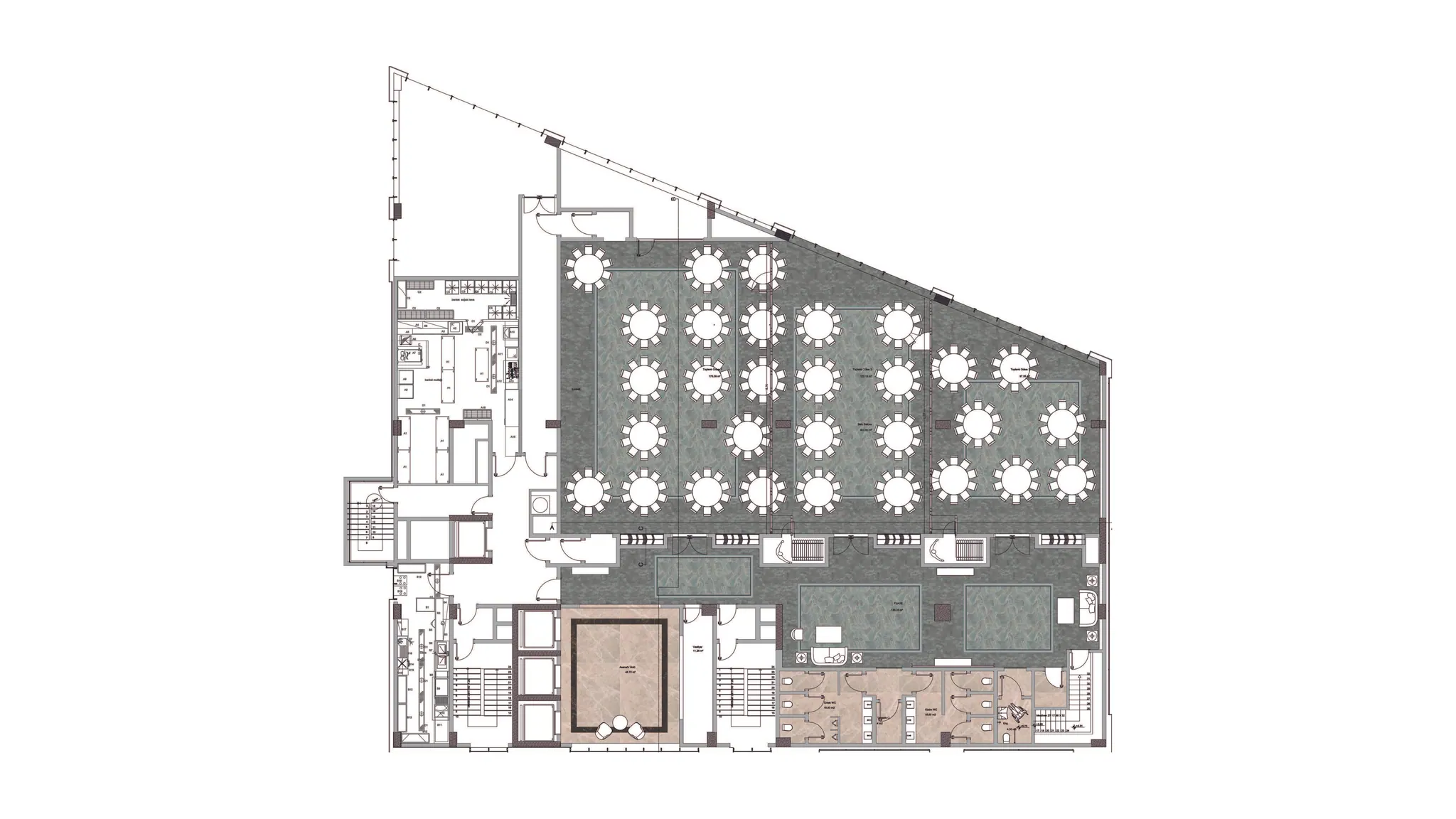The regulation-compliant project we developed for the ballroom and foyer area