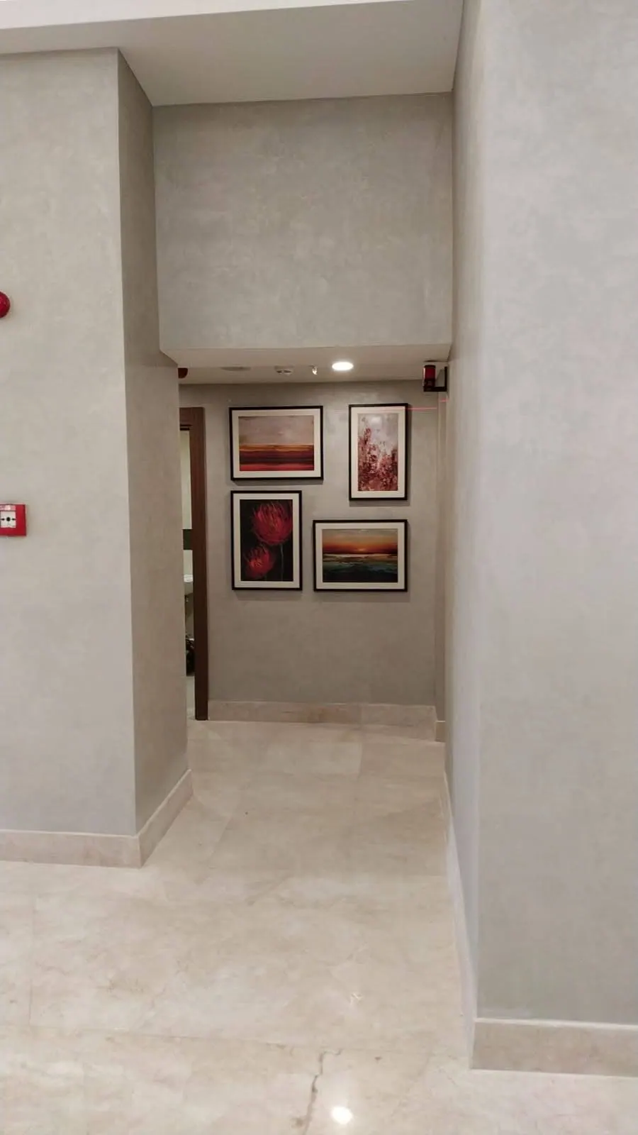 The paintings hung