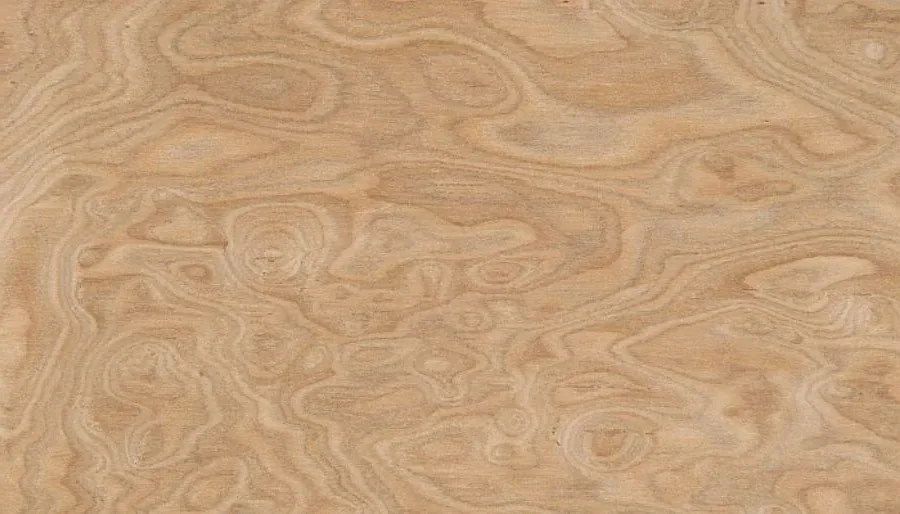 Kök (burl) kaplamada girdapsı desen